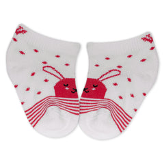 Kids Cotton Antibacterial Ankle length Socks - YW-ASP-8017 - Pack of 5 Pairs