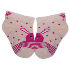 Kids Cotton Antibacterial Ankle length Socks - YW-ASP-8017 - Pack of 5 Pairs