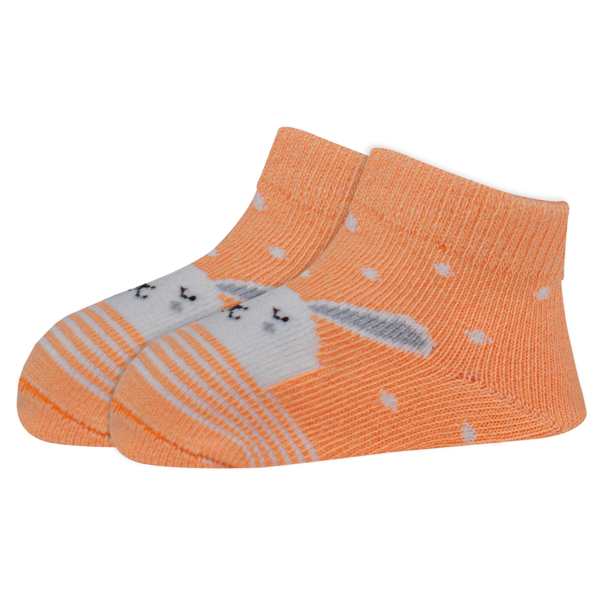 Kids Cotton Antibacterial Ankle length Socks - YW-ASP-8017 - Pack of 5 Pairs